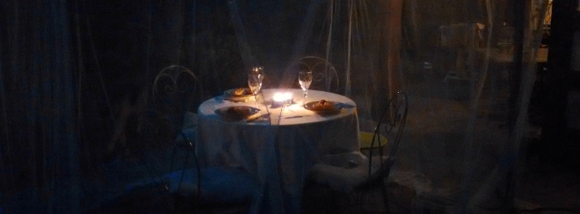 cena sotto le stelle
